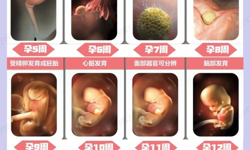 营养均衡晚餐菜肴网 | 营养晚餐吃什么好,晚餐怎么搭配营养均衡