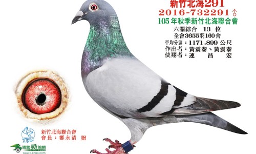 木瓜牛奶的功效和作用是什么