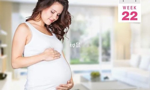 家常营养晚餐蔬菜食谱-营养均衡晚餐菜肴网 | 营养晚餐吃什么好,晚餐怎么搭配营养均衡